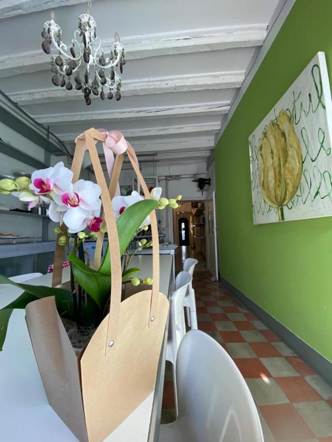 19 Borgo Cavour Bed & Breakfast Treviso Dış mekan fotoğraf