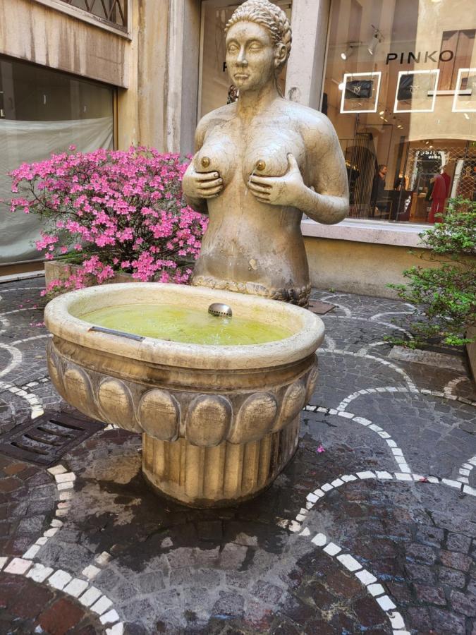 19 Borgo Cavour Bed & Breakfast Treviso Dış mekan fotoğraf