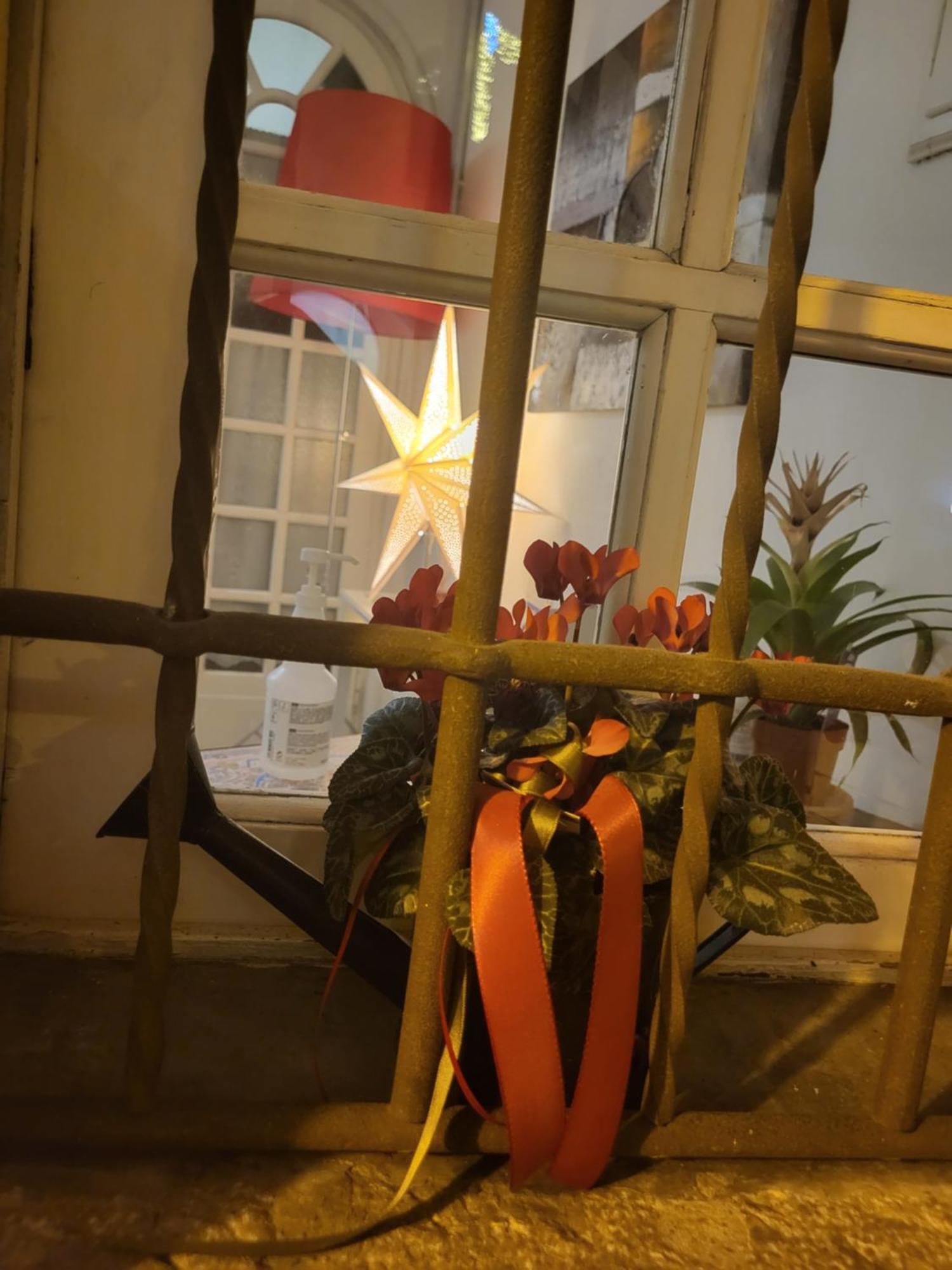 19 Borgo Cavour Bed & Breakfast Treviso Dış mekan fotoğraf