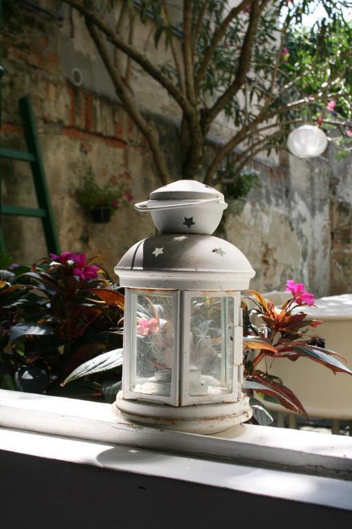 19 Borgo Cavour Bed & Breakfast Treviso Dış mekan fotoğraf